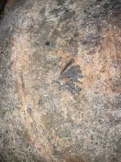 Talha azeite antiga em barro zona de Ourem