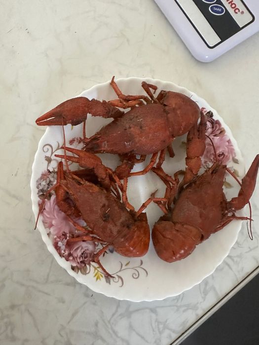 Раки живі дикі !!!