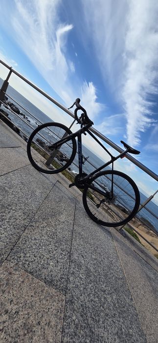 Giant TCR 2025 ML