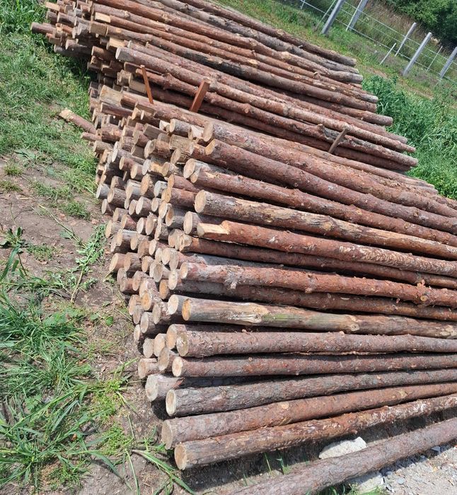 Stemple budowlane 2,9m-3,0m