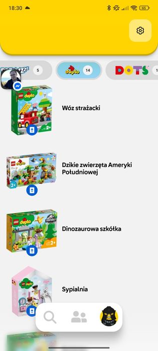 LEGO Duplo 9kg różne zestawy Psi patrol