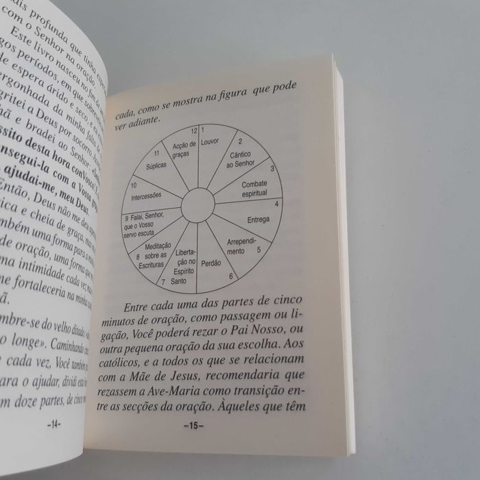 Pequeno Livro Hora Milagrosa de Linda Schubert - Edições Pneuma