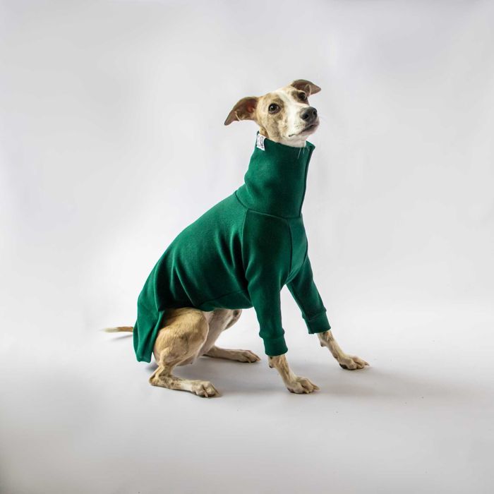 Sweterek golfik na pieska, charta, charcika, whippeta