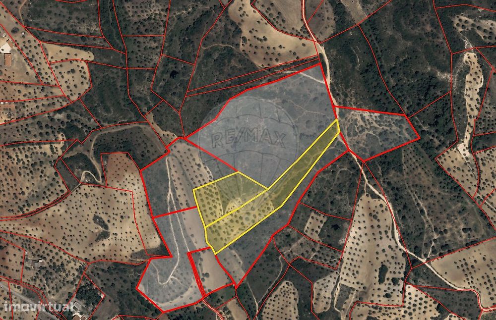Terreno  para venda — Meia Via, Santarém