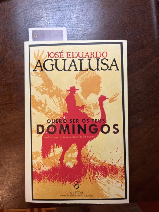 Livro de José Eduardo Agualusa-Quero ser os teus domingos