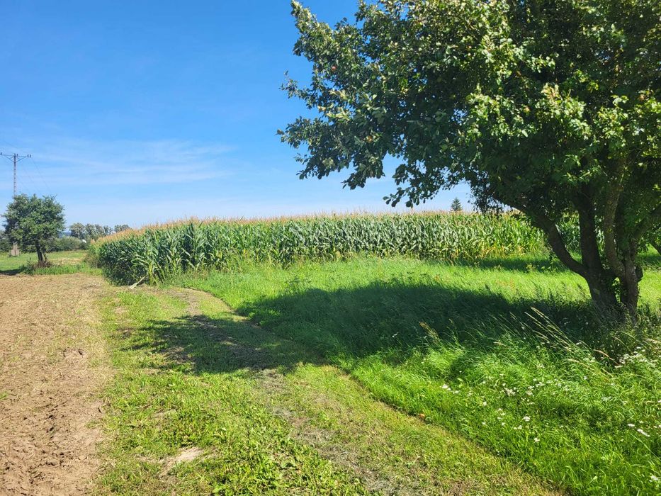 Działki budowlane Kaniczki - Więcej