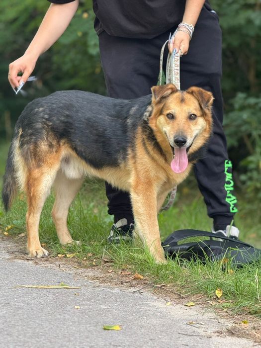 Najwspanialszy Ege szuka domu!