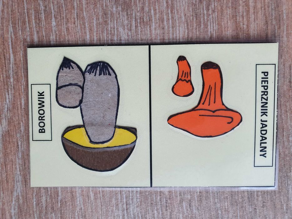 Domino - grzyby dla dzieci przedszkolnycj