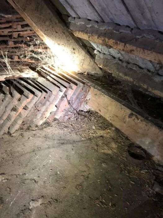 Usuwanie gniazd szerszeni i os. Rozbiórka domków narzedziowych, magazynków, altanek, placów zabaw. Sprzątanie po budowie, ogrodów i ogródkow działkowy