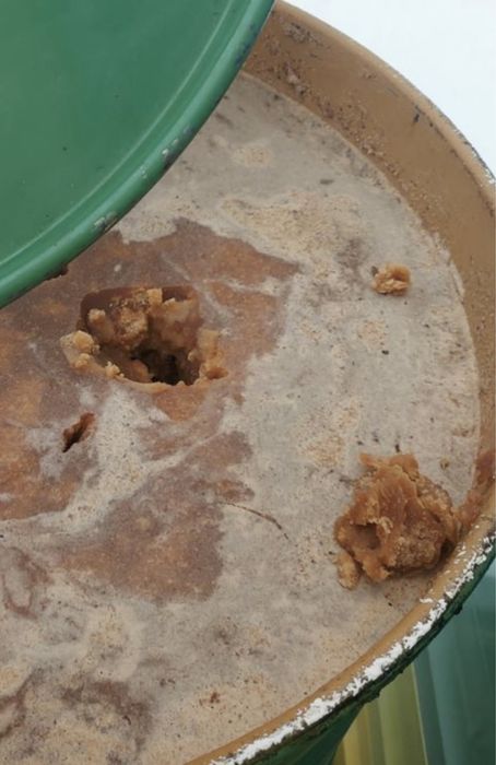 Miód pszczeli,ule,pasieka,pszczoły,matki pszczele,rodziny pszczele