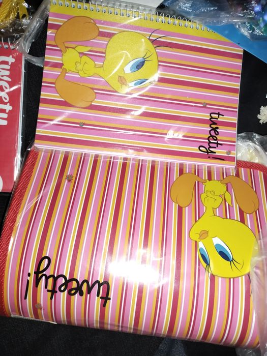 Пенал,папка,блокнот