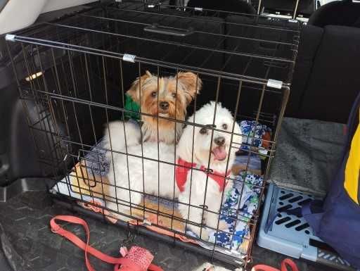 Klatka dla psa kota transporter składana metalowa do samochodu podróży