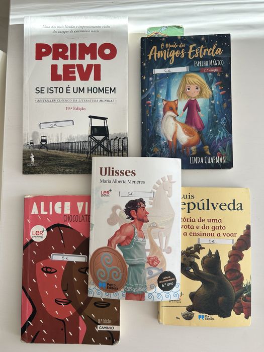 Lote de Livros Variados (Juvenis, Clássicos e PNL)