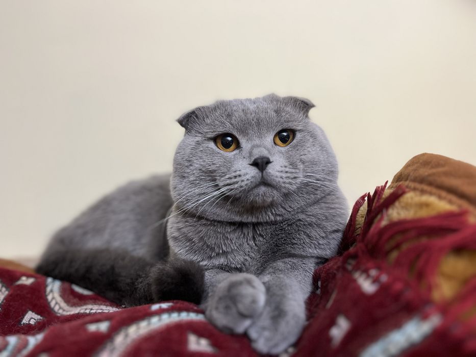 Запрошуємо на вʼязку