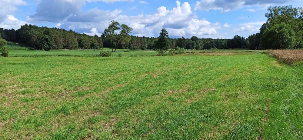 Sprzedaż ziemia rolna 0,5 ha gm. Kobylin Borzymy blisko gm Sokoły