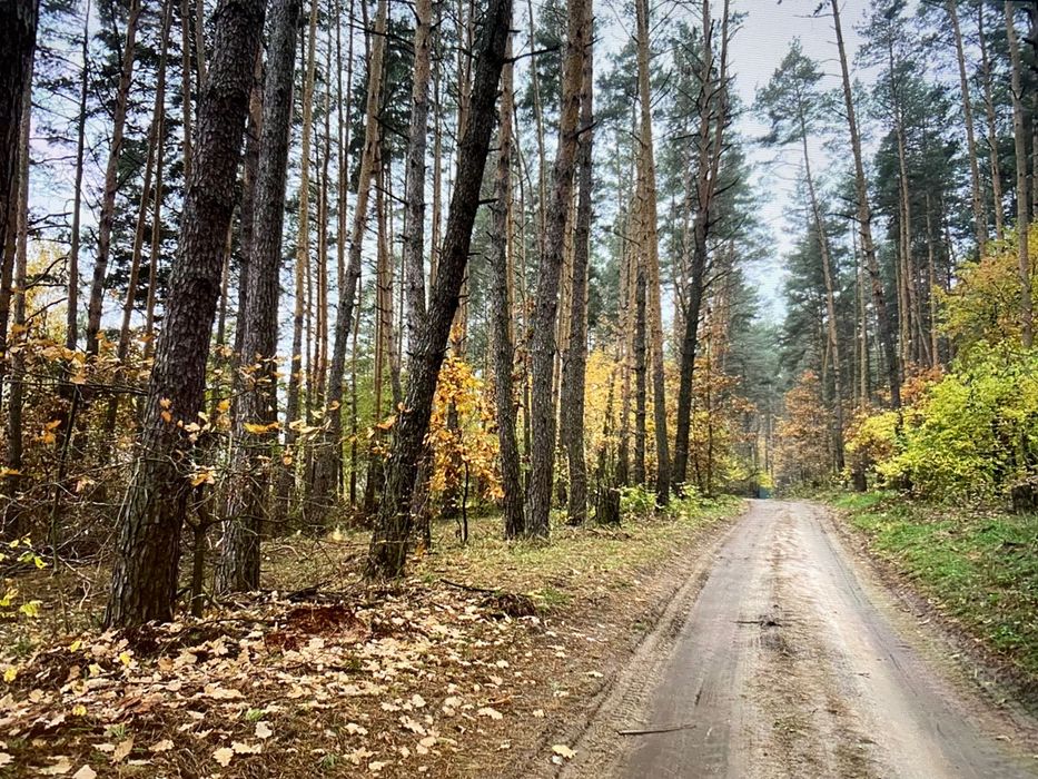 КОНОПЕЛЬКИ, 75 соток забудова Фасад 34 м,мальовниче місце!