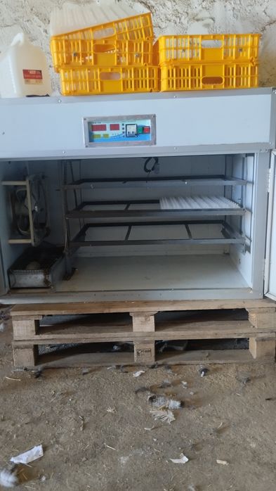 Vende-se chocadeira foi usada 3/4 vezes