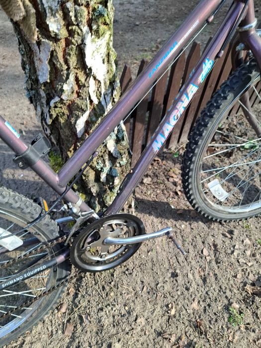 Rower Magna Zanzibar miejski