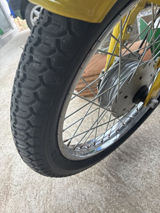 Sachs andorinha amarela