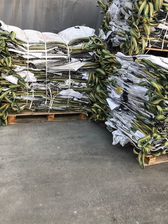 Używane worki big bag o wymiarze 90/90/120 cm idealne na zboża !