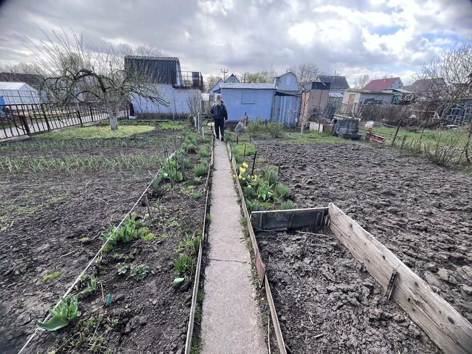 Продам дачу в СТ Строитель (Будівельник) в Кривушах