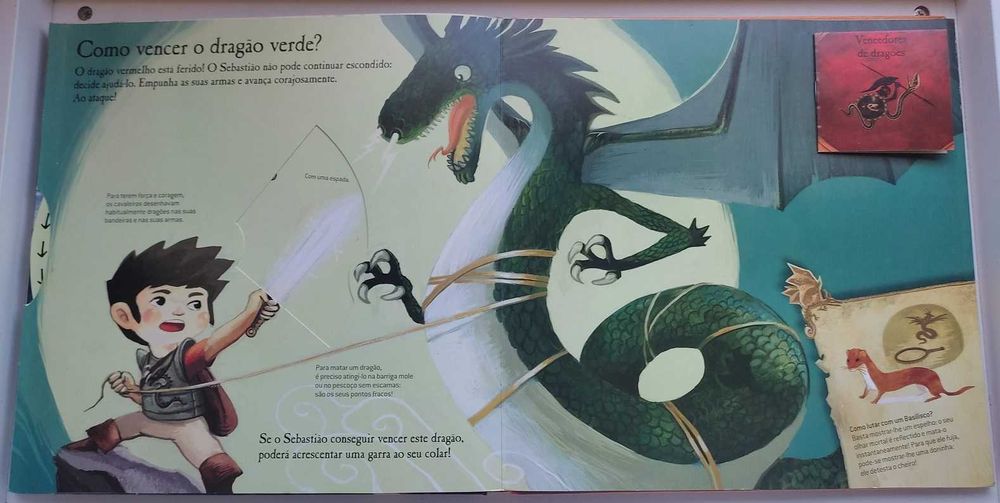 Livro infantil "Os dragões"