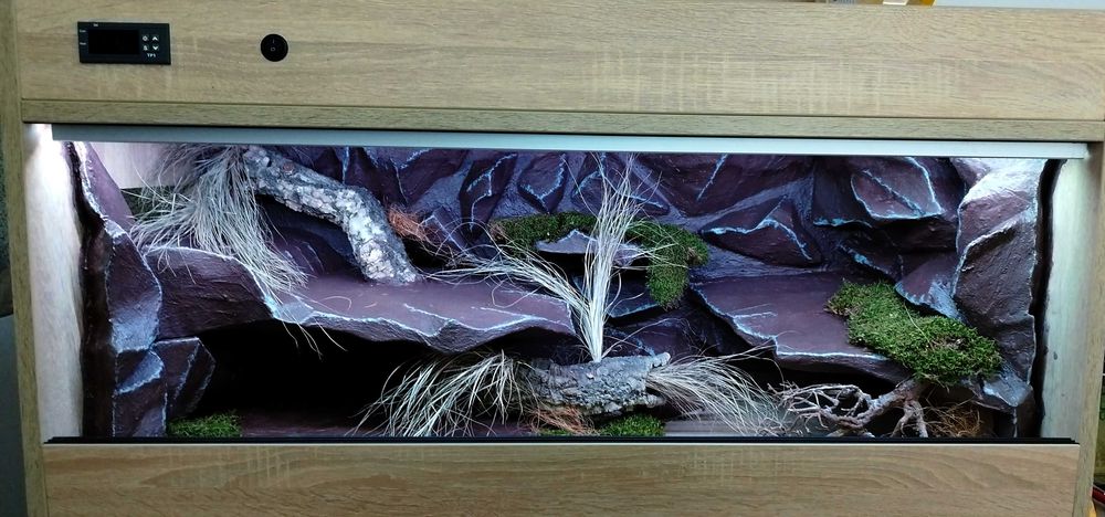 Terrarium dla pytona krolewskiego 100x50x50 ( Exotic Leszno )