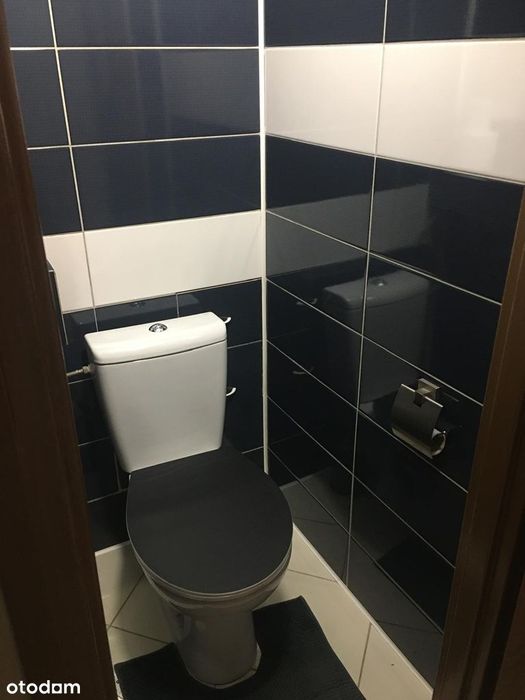 Przytulne mieszkanie nad Sanem