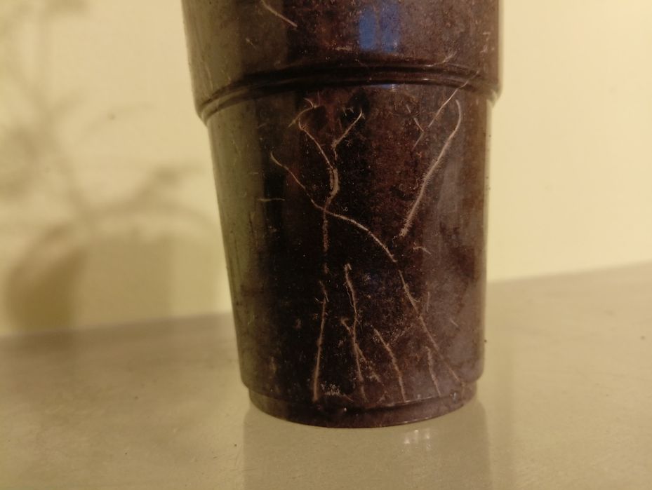 Rozsada pomidora