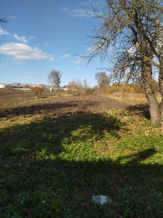 Земельна ділянка Ружичанка вул Центральна