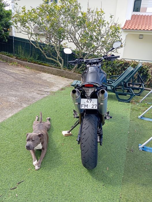 Yamaha XT660X de 2008