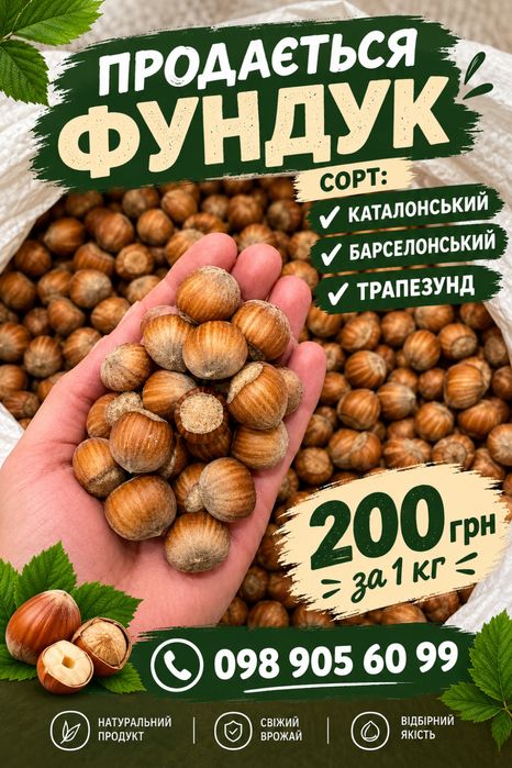 Продається Фундук