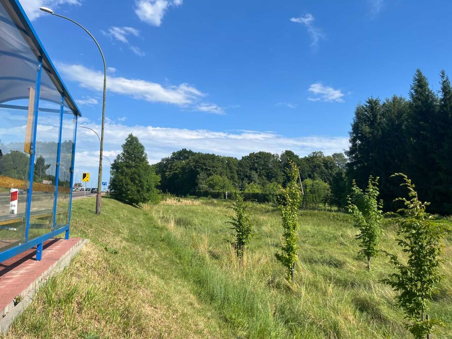 Sprzedam działka 14 ar komercyjna Krakowska Sanok przy drodze Dąbrówka