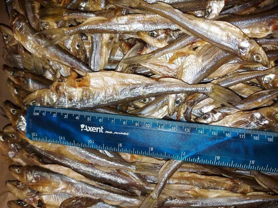 Корюшка в'ялена балтійська 15+см