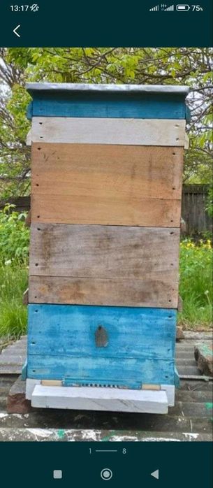 Улья Рута безфальцеві