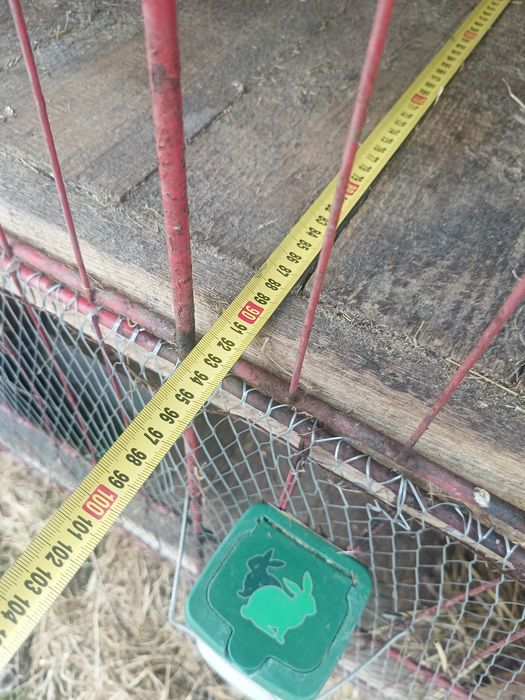 Klatki dla królików