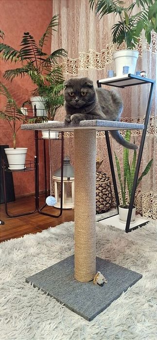 Велика ,важка і стійка  кігтеточка з товстим стовпчиком .когтеточка