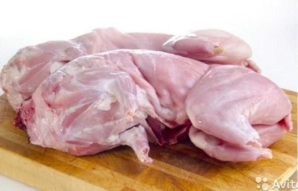 Продам мясо  кролика