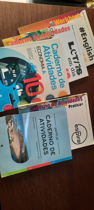 Cadernos de fichas 10 ano