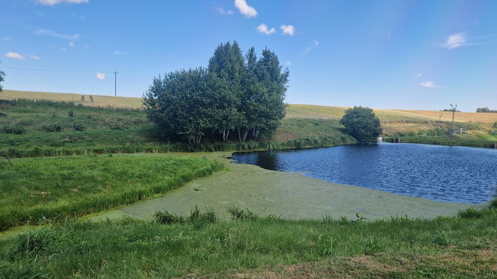 Prywatne łowisko- świeży pstrąga tęczowy