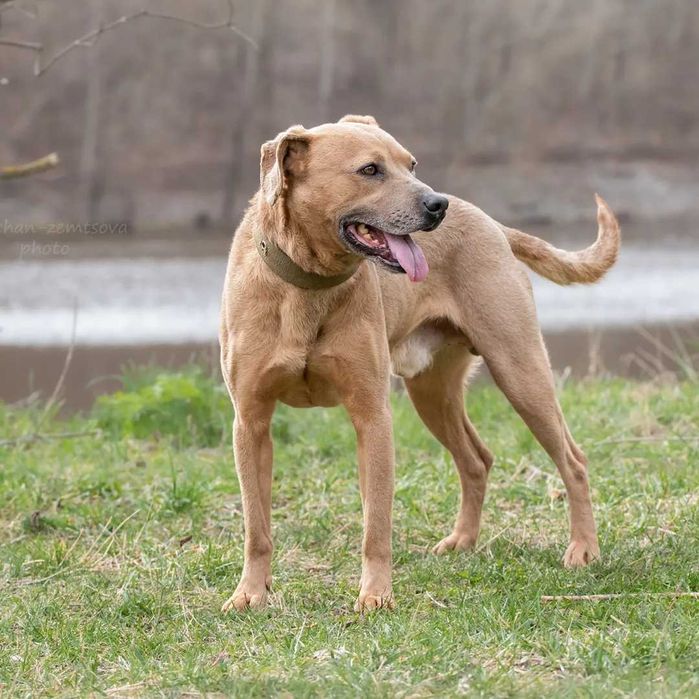 Мегакрутий Роккі шукає родину