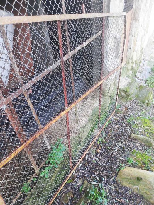 Grades de Ferro com Rede Metálica para Janelas