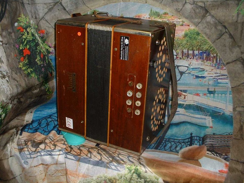 Concertina para venda N, 977