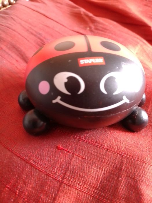 Joaninha Voa! Voa! - Pisa Papéis de Madeira - 5E - Agulhas-3E Desde 2E