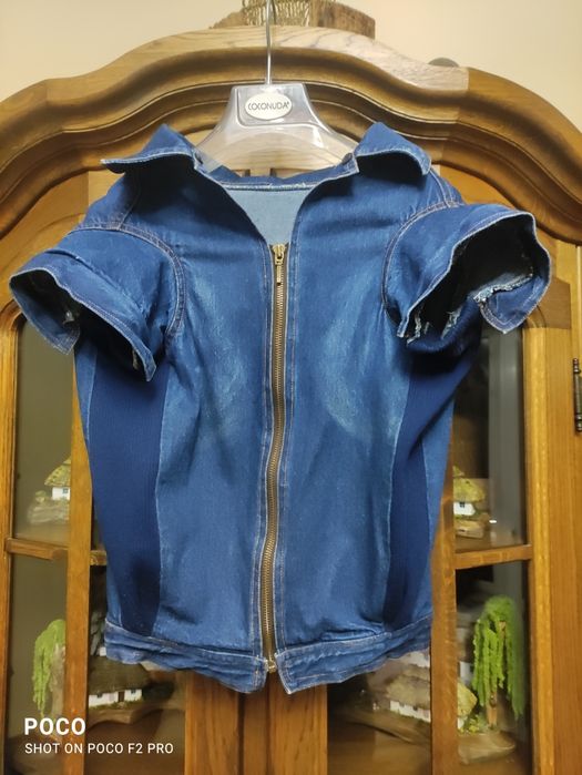 Джинсова курточка для собачки, Levi's