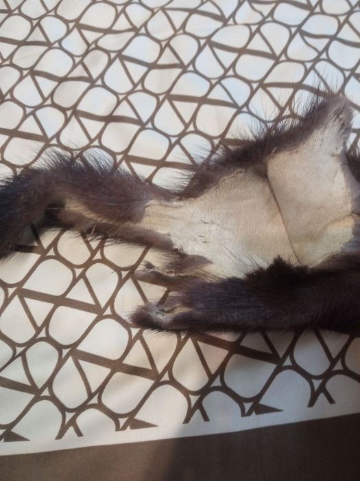 Продам хутро норки