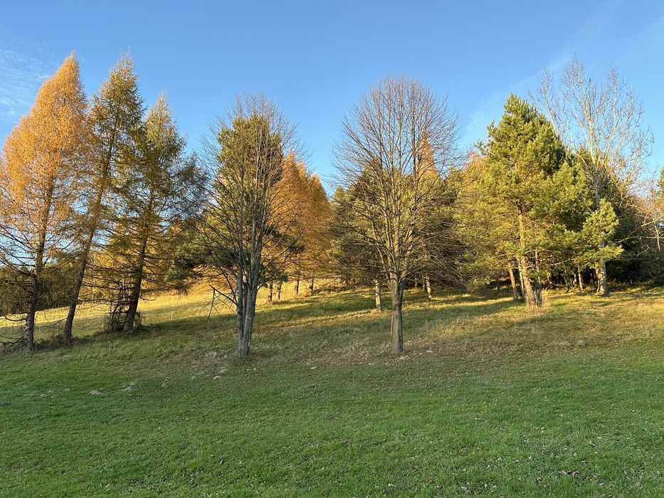 Dzialka widokowa warunki zabudowy Bieszczady