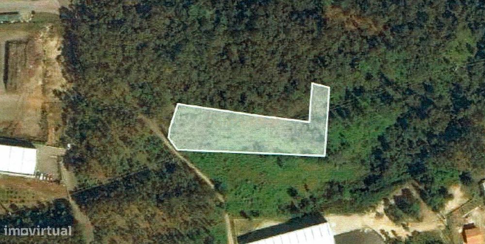 Terreno para construção de empresa/pavilhão afeto a Atividades Económi