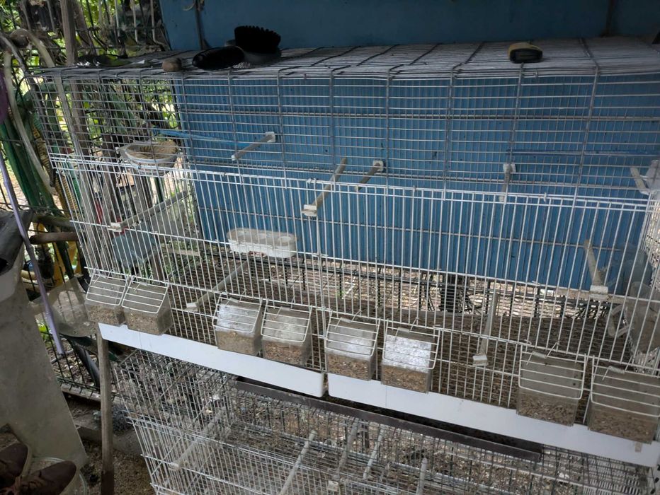 Gaiolas, Viveiros duplos, voadeiras