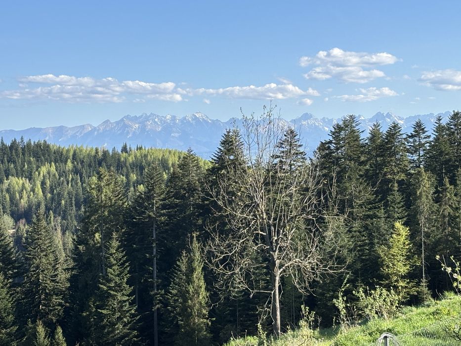 Apartament  Pod Turbaczem Wolne terminy